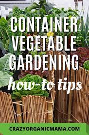 Grow A Vegetable Garden In Containers Crazy Organic Mama Container Gardening Vegetables Porch Vegetable Garden Growing Vegetables In Containers