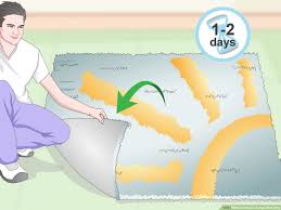 Vacuum thoroughly on both sides vacuum the fibers, then flip the rug over and vacuum the other side to remove any lingering dust. How To Clean A Large Area Rug 11 Steps With Pictures Wikihow