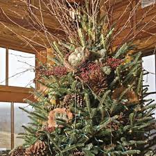 A Nature Inspired Holiday In The Mountains Rustic Christmas Tree Natural Christmas Tree Country Christmas Trees