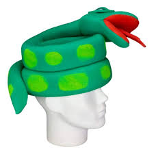 Zazzle's lapel pins help you take your formal wear to the next level. Amazon Com Foam Party Hats Snake Hat Serpent Party Hat Snake Headpiece Animal Costume Hat Snake Hat For Kids Handmade Snake Hat Party Favor Handmade