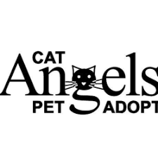 Maybe you would like to learn more about one of these? Cary Nc Animal Shelters Rescues Chewy Com