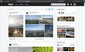 Featuring unique images from flickr photographers & creatives. Have A Look At Your New Flickr Activity Feed Flickr Blog