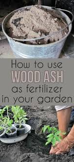 How To Use Ashes As Fertilizer Organic Gardening Organic Vegetable Garden Organic Gardening Tips Organic Vegetables