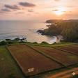 Sea View Plots in Devgad product image