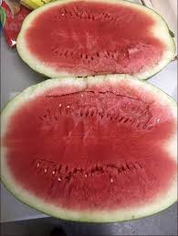 How to tell when a japanese eggplant is ripe. Ripe Watermelons Have Dry Stem Yellow Ground Spot Dark Webbing Thumping Not A Good Indicator Education Magnoliareporter Com