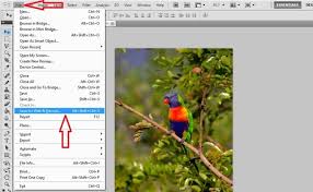 Open the photoshop and upload the image you wanted to reduce file size.go to 'file' and then 'save for web & devices'. How To Reduce Image File Size In Photoshop Without Losing Quality Bnsofts