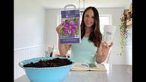 Clematis and tomatoes are two exceptions to the usual rule, and are best planted 6 inches deeper have had great luck with comtesse de bouchaud clematis. Potting Bare Root Clematis Dr Ruppel From Costco Youtube