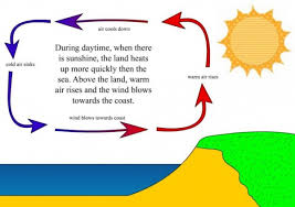 convection igcse thermal physics