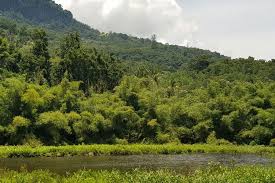 Nah, ada puluhan tempat wisata alam seru di lampung dan sekitarnya. Tersembunyi Di Tengah Hutan Ini Danau Koliheret Di Sikka Flores Halaman All Kompas Com