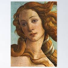 Venus Make-Over" Poster for Sale by VenusOak