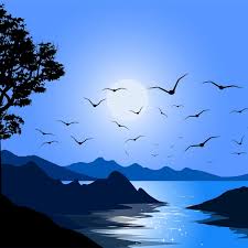 طيور النورس منظر طبيعى سماء ورق الجدران صورة الخلفية للتحميل مجانا