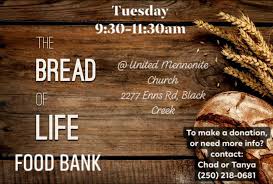 Cbc bread of life food pantry 225 radcliffe st. Black Creek Bread Of Life Food Bank Black Creek Community Church