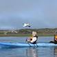 Kayak and Oyster Tasting Tours