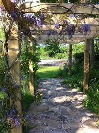 Wisteria On Pergola With Natural Stone Paving Underneath Paving Stones Pergola Natural Stones