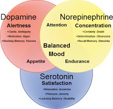 As mentioned earlier, tyrosine contains some potential benefits for stress recovery, mood, and the brain. How To Use L Tyrosine For Opiate Withdrawal Opiate Addiction Support