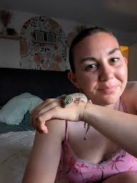 Leopard geckos becoming more social