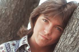 David Cassidy: Naked Lunch Box