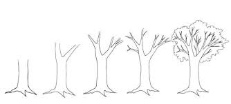 Pour dessiner un arbre, il faut comprendre leurs différentes structures. 1001 Idees Pour Dessiner Un Arbre Merveilleux Avec Exemples Comment Dessiner Un Arbre Dessin Arbre Dessins Faciles Au Crayon