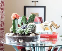 Check spelling or type a new query. 14 Diy Cactus Dish Garden Ideas Balcony Garden Web