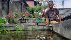 Sebab bisnis budidaya ikan hias tidak memerlukan lokasi atau tempat yang luas, melainkan dapat. Hobi Pelihara Ikan Hias Selama 25 Tahun Nasib Ismayadi Makin Mujur Suara Jogja