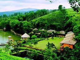 Vagamon is not just any other verdant spot. Vagamon Resorts Resorts In Vagamon Accommodation In Vagamon