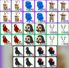 I asked the server to stand still and have 2 minutes. Nfr Pets For Sale Adopt Me Neon Parrot Monkey King Albino Evil Unicorn Crow Arctic Reindeer Blue Dog Owl Toys Games Video Gaming In Game Products On Carousell