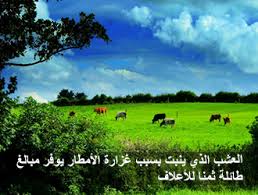 موضوعات علمية من الخطب الموضوع 102 وجعلنا من الماء كل شيء حي موسوعة النابلسي للعلوم الإسلامية