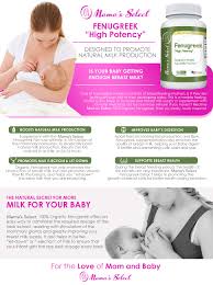Is our best selling breastfeeding herbal supplement that helps increase breast milk supply. Amazon Com Organic Fenugreek Capsules For Increased Breast Milk Supply During Breastfeeding Lactation Potent Fenugreek Seed Supplement Vitamins Better Than Tea Oil Leaves 120 Herbal Vegetarian Pills Health