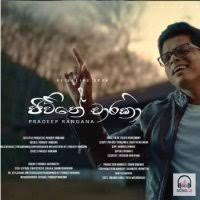 Manike mage hithe ම ණ ක මග හ ත satheeshan ft dulan arx aryans music music video. Jeewithe Chaarika Pradeep Rangana Mp3 Download Song Download Free Download Song Lk