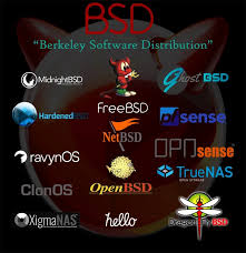 Image result for Computers Software Operating Systems Unix BSD DragonFly