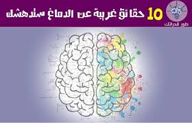 يعتبر الدماغ العضو الرئيسي في الجهاز العصبي لدينا اذ يتكون من عشرات المليارات من الخلايا العصبية وهو المسؤل عن جمع وتحليل المعلومات Art Map Map Screenshot