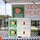 Georgia Peach Truck — South Chesterfield, VA
