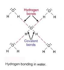 H2o The Mystery Art And Science Of Water The Chemistry Of Water Structure Chemistry Teaching Chemistry Covalent Bonding