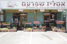 בן 34 מיפיע נפגע בראשו במהלך עבודתו בשפרעם. ××˜×œ×™×–×™× ×'×¦×¤×•×Ÿ ××˜×œ×™×– ×©×¤×¨×¢× Goldbiz