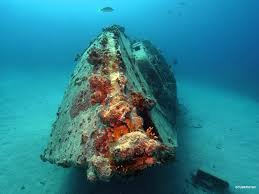 Artificial rocks and fake rocks making, it's never looked so real or been so easy. Artificial Reefs What S In The Name Fauna Flora International