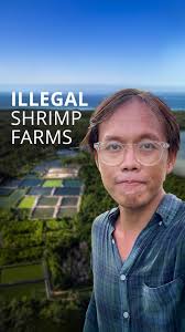 Shrimp Conservation Efforts