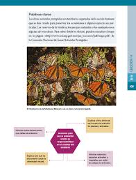 Lección anterior página anterior página 20 siguiente página siguiente lección ¡paco te ayuda. Libro De Formacion Civica Y Etica 5 Grado 2020 Pdf Formacion Civica Y Etica 2