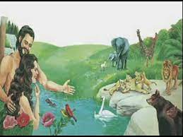 Establishing them in the faith of the gospel. My Book Of Bible Stories Story 03 Youtube