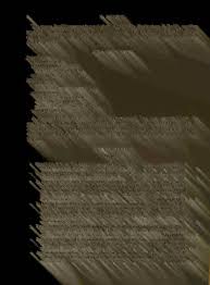 Image result for Euploca katangensis