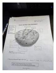 Utilization of worksheets in the style knowledge stage implies that worksheets are accustomed to study a topic with the intention of deepening the knowledge of issues which were discovered in the last point, namely concept planting. Copy Of Biology Animal And Plant Cell Labeling Pdf Partnerships For Reform Through Investigative Science And Math Mckenzie Johnson Name 9 18 2020 Date Course Hero