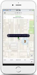 Browse the menu, view popular items, and track your order. Here S How To Get Puppies Delivered To Your Office Courtesy Of Uber Geekwire