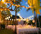 Summer Decoration Ideas