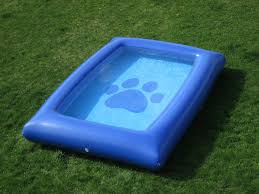 The Ultimate Dog Pool Buy A Dog Pool Dog Pool Buy A Dog Dog Deals