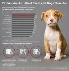 Je ne suis pas fort niveau legislation, mais j'ai entendu dire que les pitbulls sont classe mais je trouve sa injuste que il classifie les pitt bulls comme dangeureux. Qu Est Ce Qu Un Pitbull Info Pitbulls