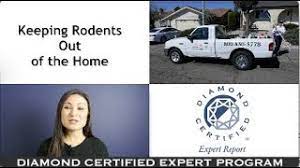 Pest control san francisco, united states, pest removal services, critters, extermination, vermin control, rat catcher. All N One Pest Eliminators Bay Area Pest Control Diamond Certified