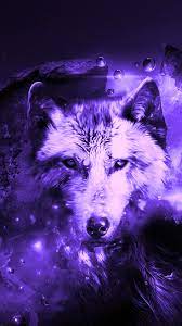 Search results for cool wolf. Cool Wolf Iphone X Wallpaper 2021 3d Iphone Wallpaper