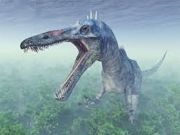 Image result for Suchomimus