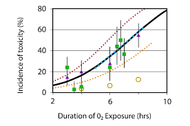 Calculator For Estimating The Risk Of Pulmonary Oxygen