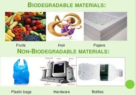 Biodegradable Waste Chart Biodegradable And Non