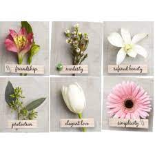 Flowers are the perfect gift or offering for any occasion, but we all know that certain species are more appropriate for certain situations. More Meaningful Blooms 1 Alstroemeria Peruvian Lily Friendship And Devotion 2 Genistra Broom Flowe Flower Meanings Language Of Flowers Flower Guide